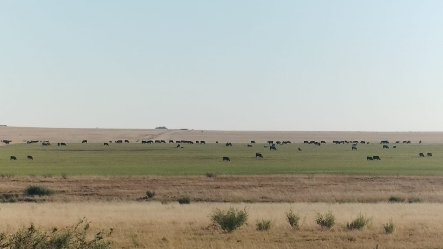 Commercial Property for Sale in Thaba Nchu Free State